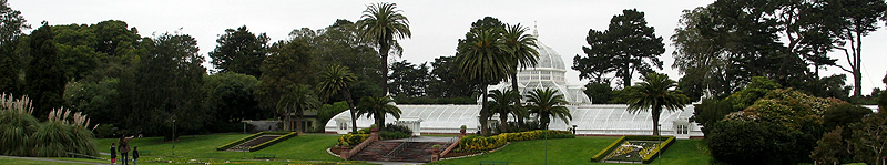 Golden Gate Park Running