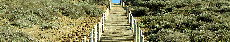 Sandladder, Baker Beach