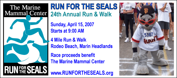 Run for the Seals - 4 Mile Race - Marin Headlands, San Francisco - April 15, 2007